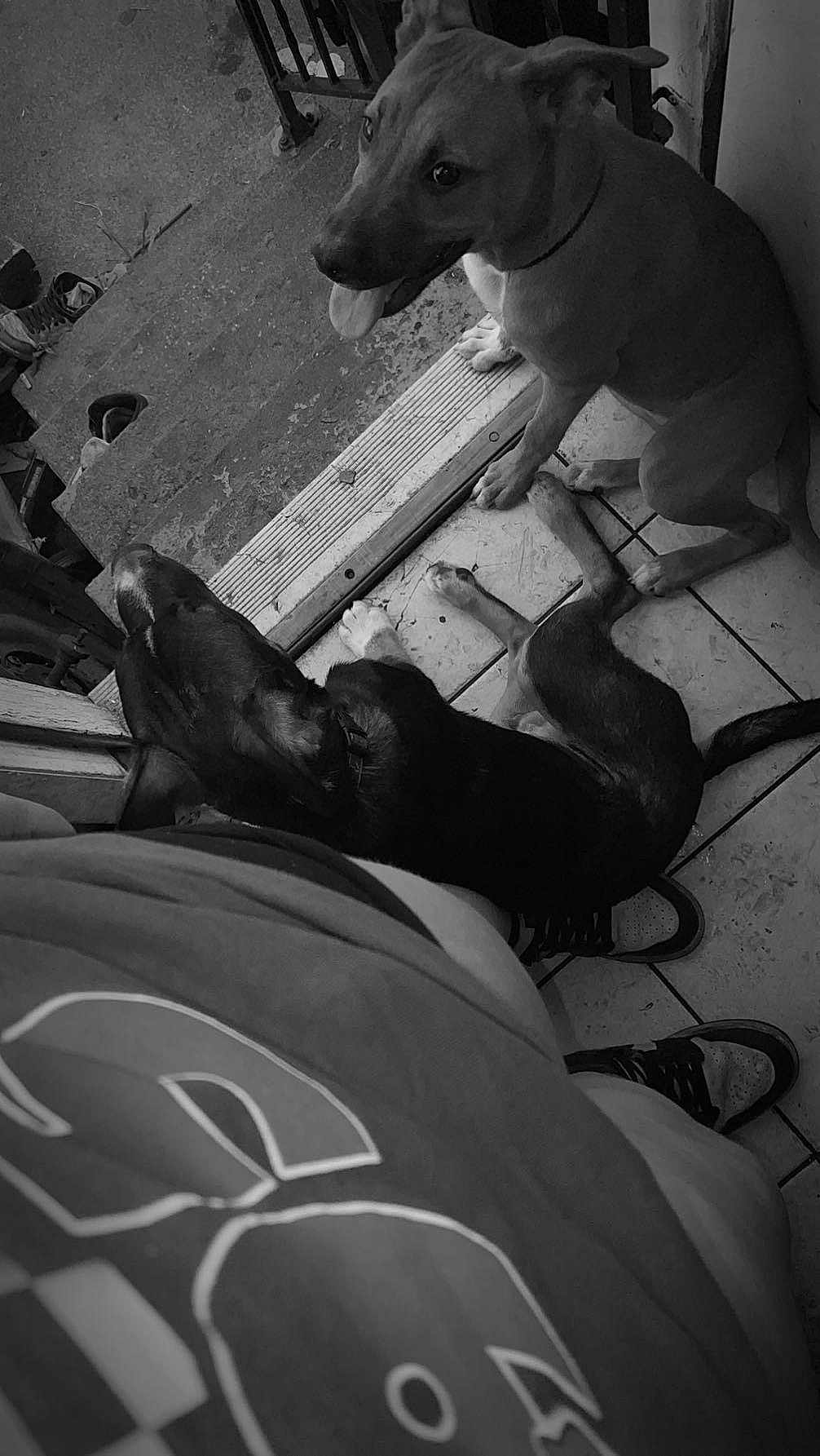 Max
