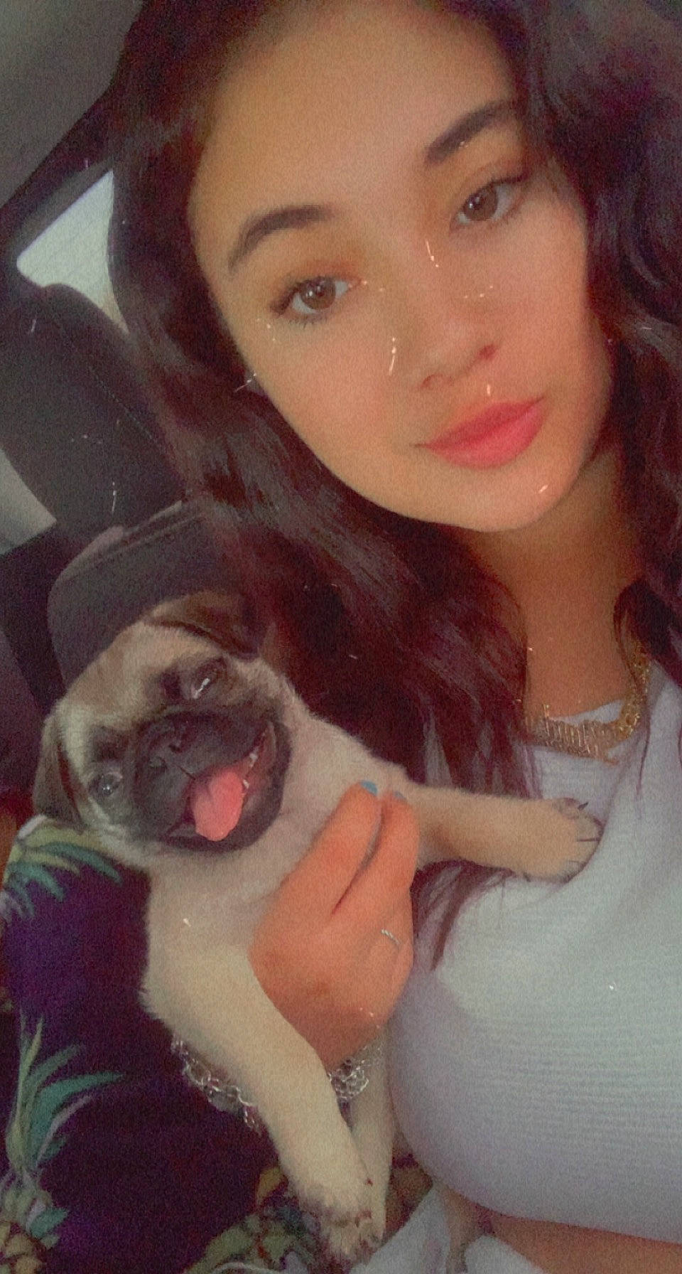 Luka is registered to the contest to win money with this photo: carnivore, cheek, chin, dog, dog_breed, ear, eye, eye_liner, eyebrow, eyelash, head, iris, jaw, lip, lipstick, makeover, nose, organ, shoulder, skin