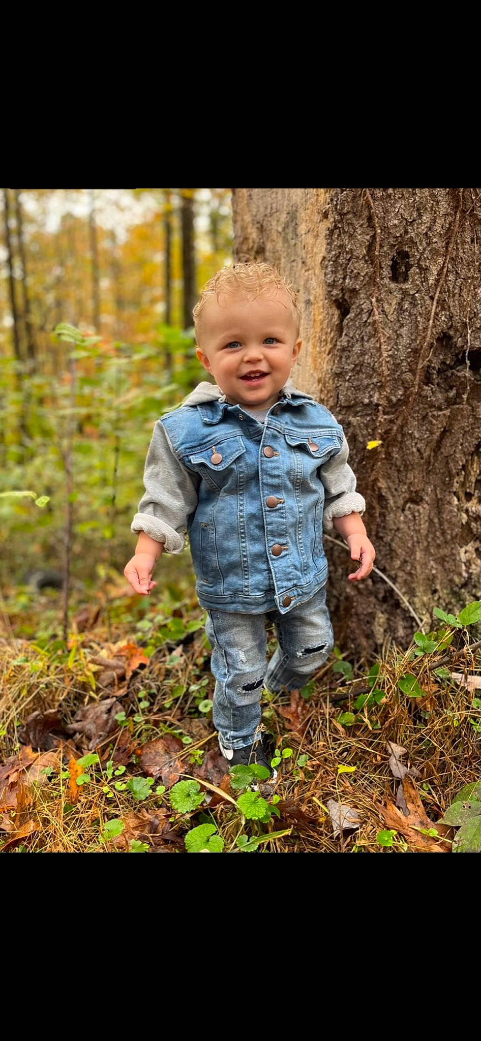 Kyren joined the competition — help win amazing prizes! adaptation, deciduous, denim, eye, facial_expression, grass, hairstyle, hand, happy, head, human_body, jeans, joy, natural_landscape, outerwear, people_in_nature, person, plant, smile, toddler