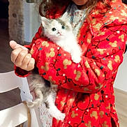 Moon a rejoint le concours — aidez-le/la à gagner de superbes lots ! kitten, cat, pet, animal, furry, cute, indoor, child, person, red_jacket, patterned_clothing, holding, white_chair, wooden_floor, cozy, fleece, young, blue_eyes, domestic_animal, snuggled
