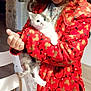 kitten, cat, pet, animal, furry, cute, indoor, child, person, red_jacket, patterned_clothing, holding, white_chair, wooden_floor, cozy, fleece, young, blue_eyes, domestic_animal, snuggled