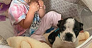 Oreo Lee joined the competition — help win amazing prizes! baby, bedside_table, blanket, child, cozy, curious, curly_hair, cute, digital_clock, dog, furniture, home, indoor, person, pet, playpen, puppy, sitting, toddler, toy