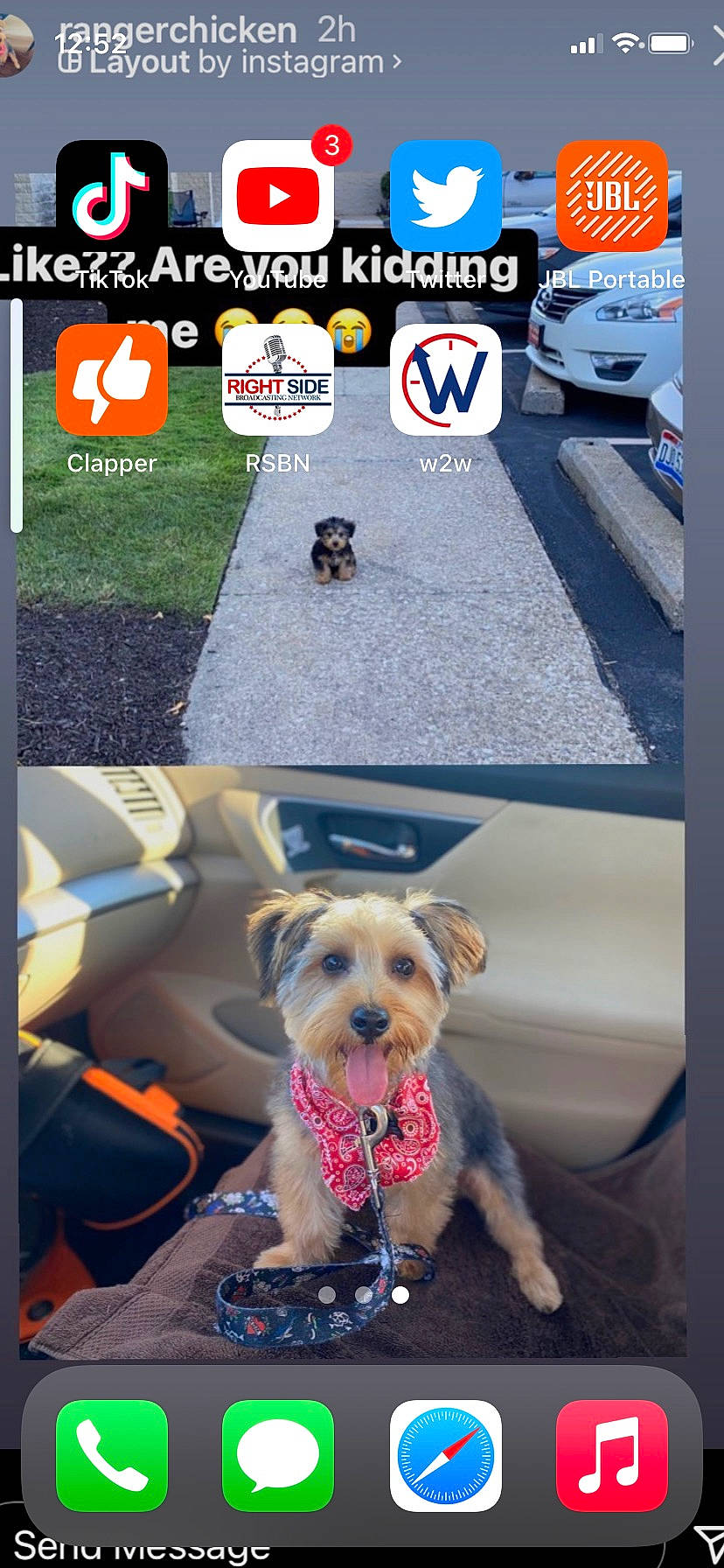 Ranger is registered to the contest to win money with this photo: asphalt, blue, carnivore, collar, companion_dog, dog, dog_breed, dog_clothes, dog_collar, dog_supply, fawn, leash, mammal, mode_of_transport, motor_vehicle, pet_supply, product, vehicle_door, vertebrate, working_animal