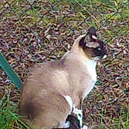 Nala participe au concours pour gagner de l'argent avec cette photo :