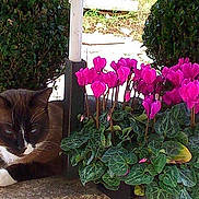 Guchy participe au concours pour gagner de l'argent avec cette photo :