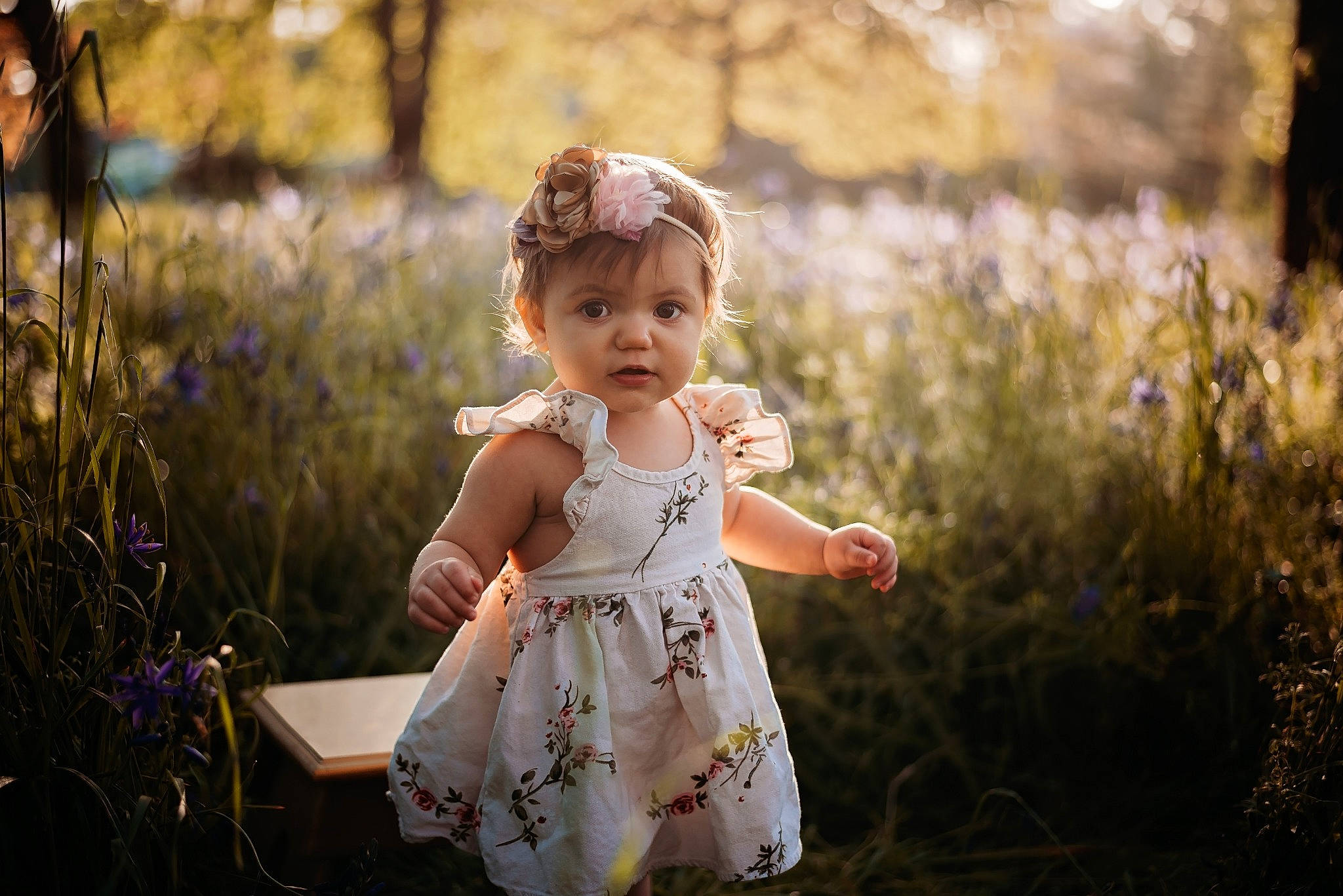 Bryndle is registered to the contest to win money with this photo: baby, child, dress, flower, grass, happy, people, people_in_nature, person, photograph, photography, plant, portrait, portrait_photography, sky, smile, spring, sunlight, toddler, tree