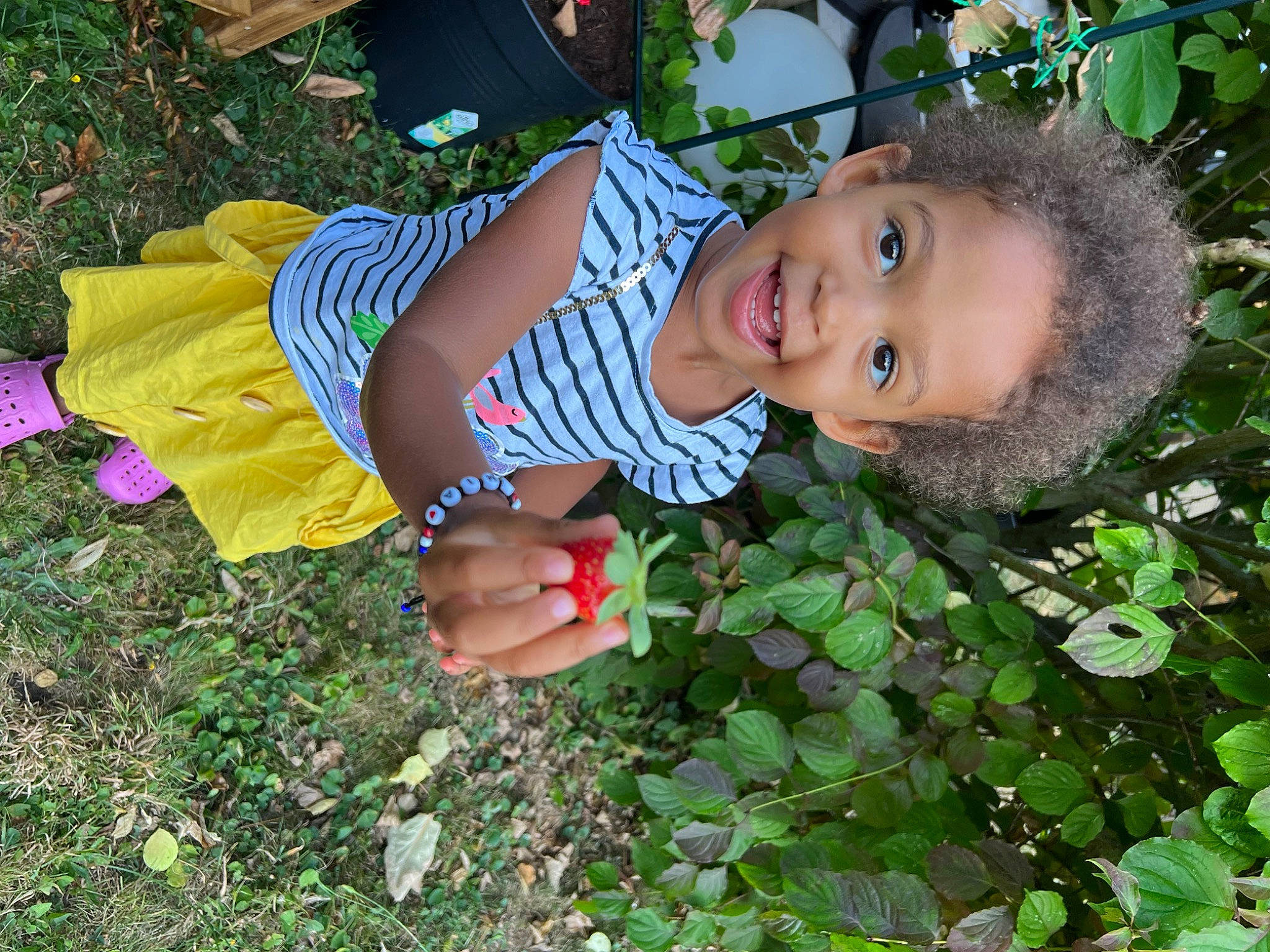 Mia participe au concours pour gagner de l'argent avec cette photo : adaptation, baby, baby_laughing, baby_toddler_clothing, botany, child, face, fun, grass, green, groundcover, happy, hat, joy, leaf, leisure, people_in_nature, person, plant, smile