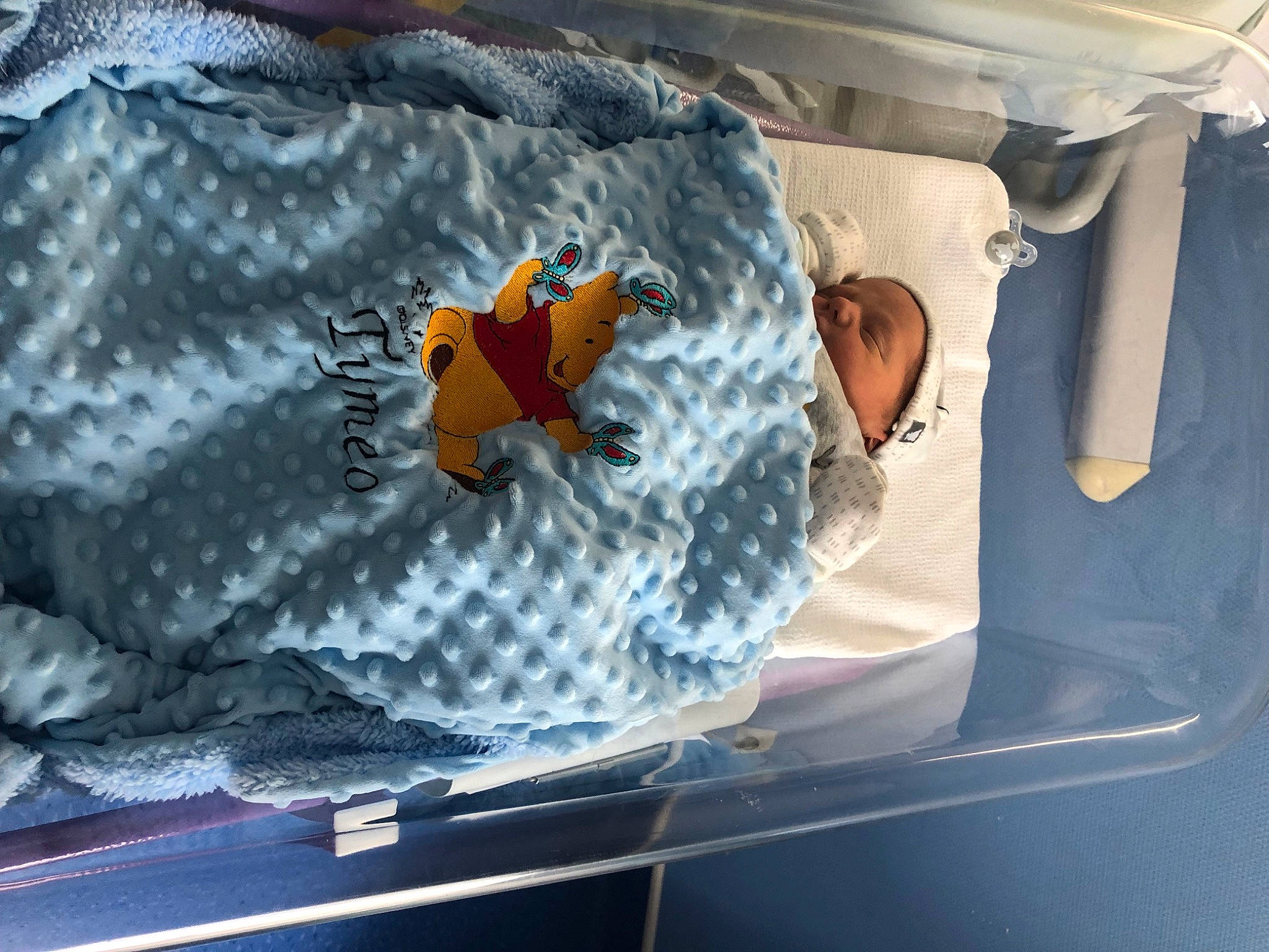 Tymeo a rejoint le concours — aidez-le/la à gagner de superbes lots ! aircraft, airplane, automotive_design, automotive_exterior, automotive_lighting, comfort_food, fin, fish, glass, hood, person, personal_protective_equipment, plastic, seafood, space, stuffed_toy, toy, trunk, vehicle_door, windshield