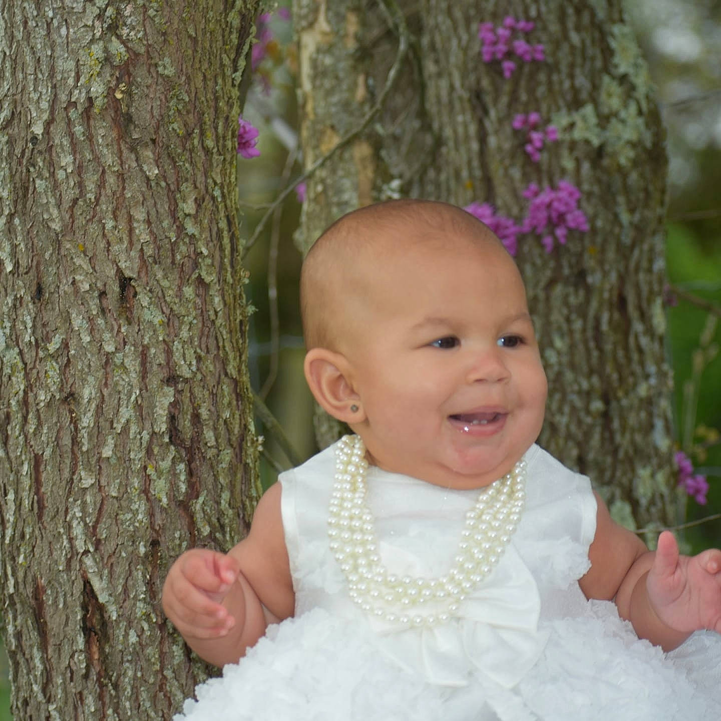 Aamiyah joined the competition — help win amazing prizes! baby, branch, child, dress, eye, face, hair_accessory, happy, head, iris, joy, person, photograph, photography, pink, plant, portrait_photography, skin, smile, toddler