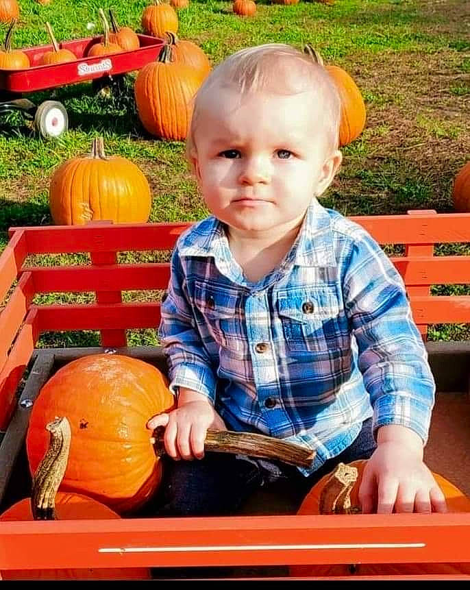 Braydon is registered to the contest to win money with this photo: calabaza, clothing, cucurbita, eye, gourd, grass, green, happy, natural_foods, orange, person, photograph, plant, pumpkin, squash, t_shirt, tartan, toddler, vegetable, whole_food