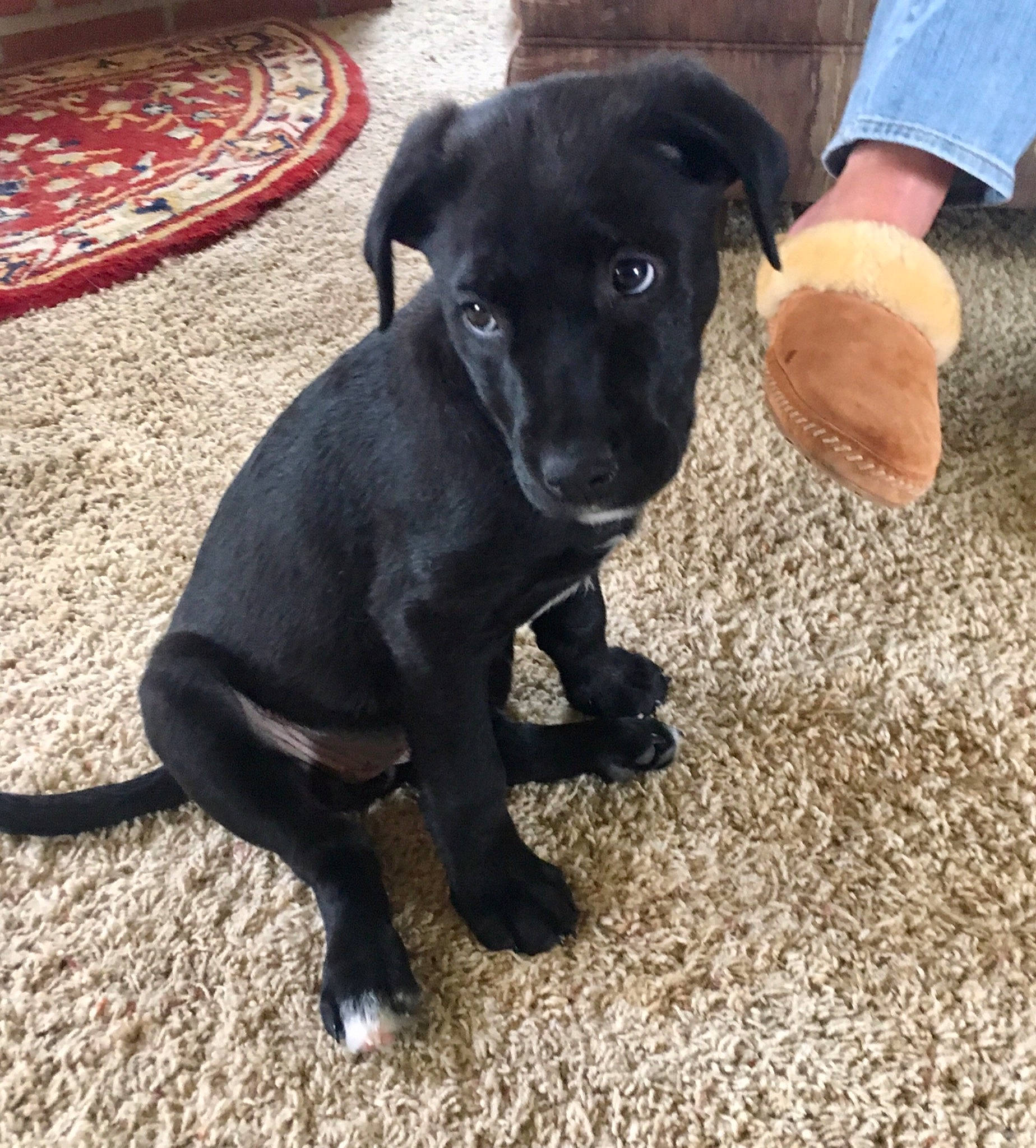 Chloe