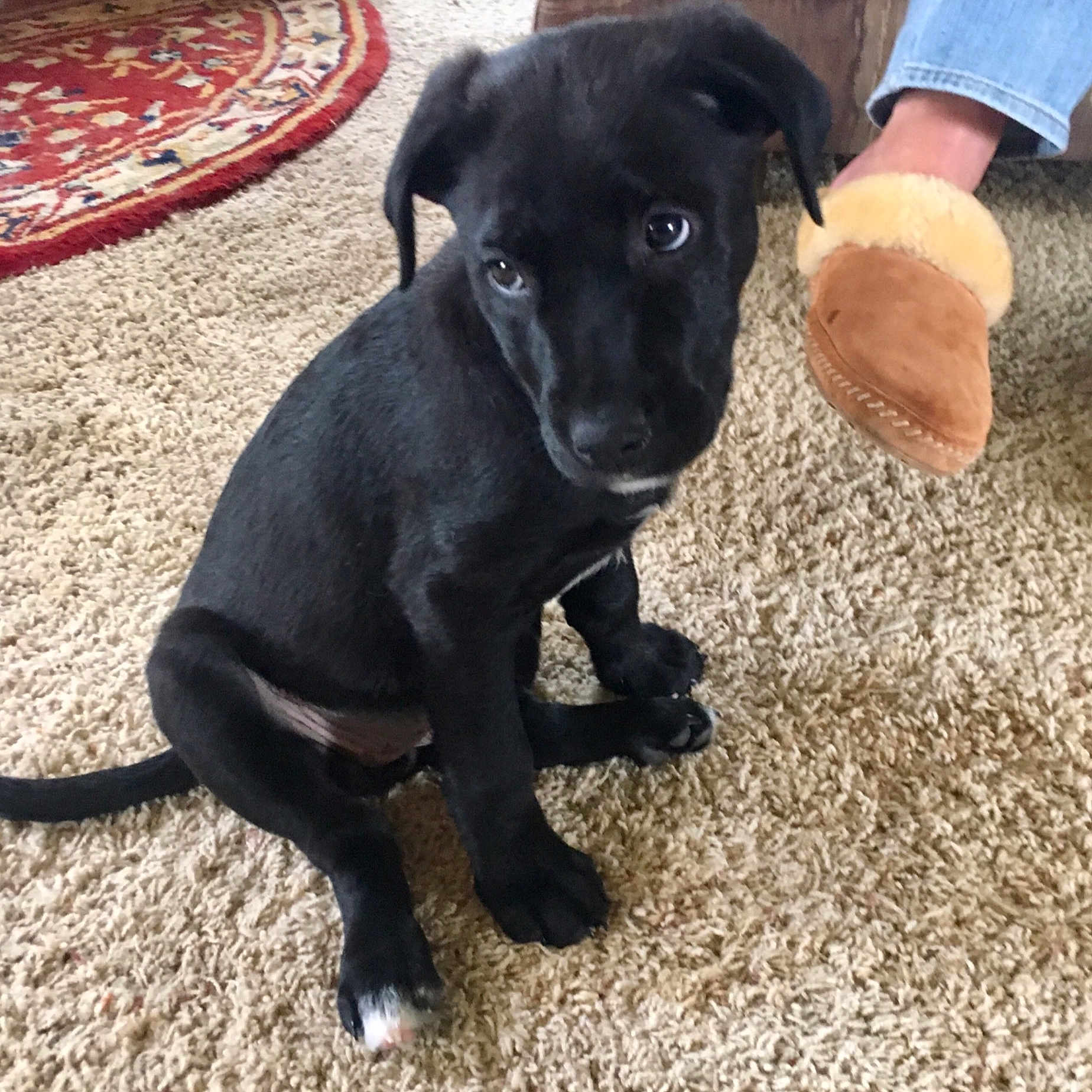 Chloe