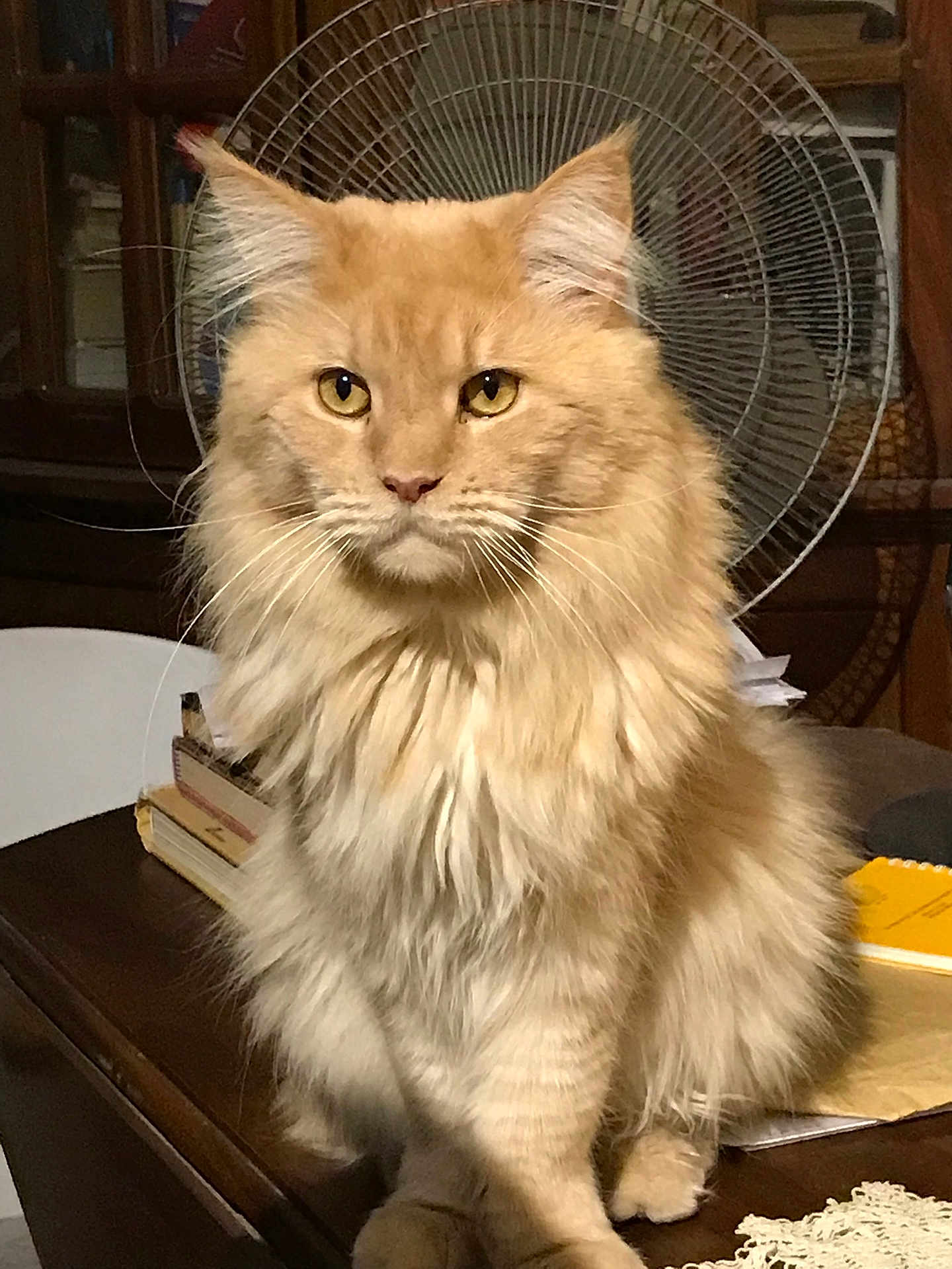Rio