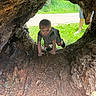adventure, bark, child, crawling, curious, daylight, dirt, exploration, grass, hollow, legs, nature, outdoor, person, play, smile, sunlight, toddler, tree_trunk, wood