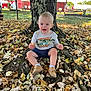 Kadence is registered to the contest to win money with this photo: toddler, child, tree, leaves, autumn, outdoor, playground, barn, grass, sunlight, clothing, shoes, mickey_mouse, nature, smiling, baby, daytime, park, roots, person