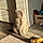 Albus