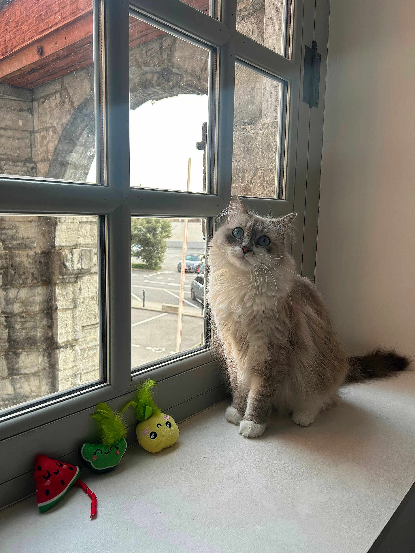 Dusty