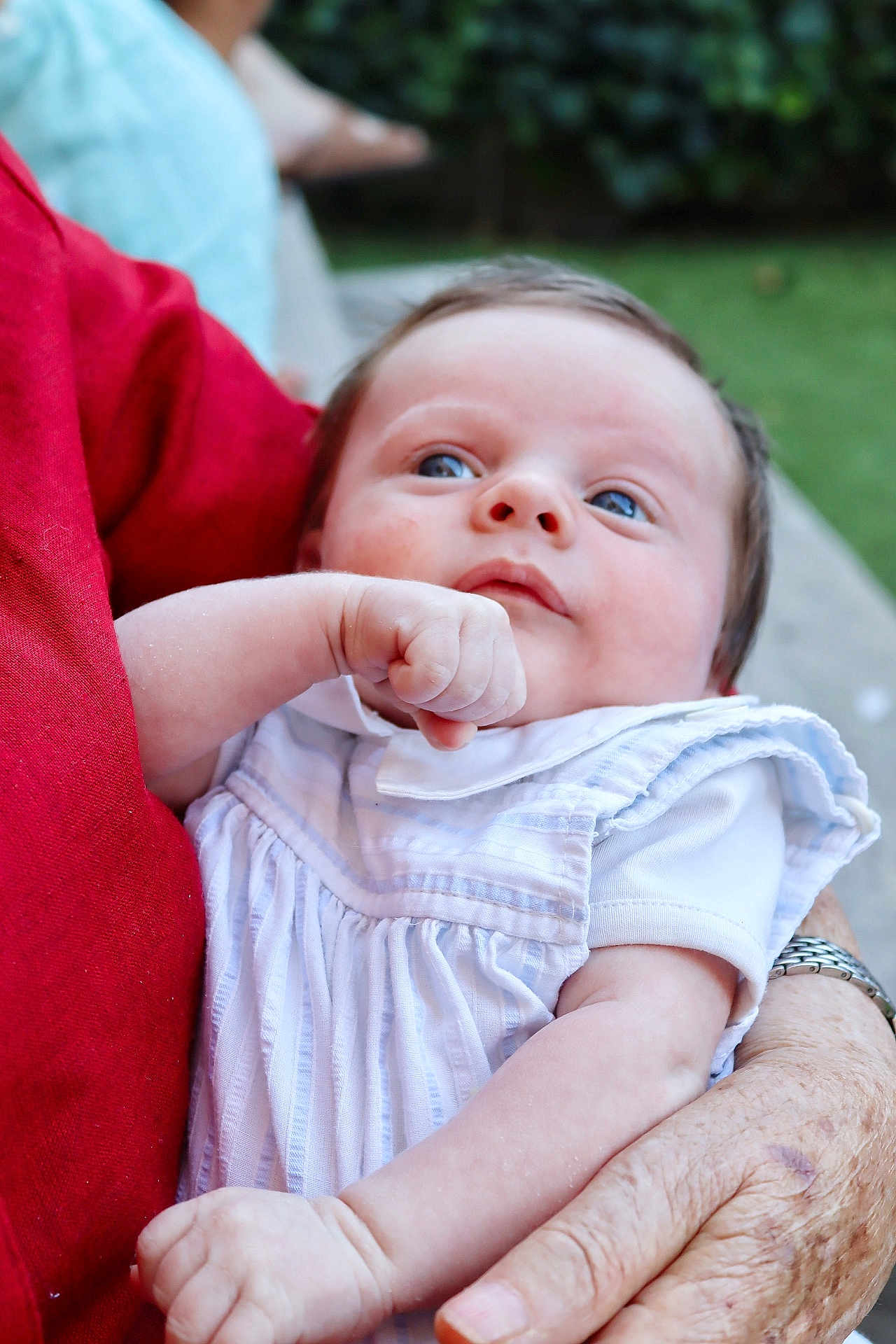 Maxence a rejoint le concours — aidez-le/la à gagner de superbes lots ! baby, infant, child, person, face, blue_eyes, white_clothing, arm, hand, skin, outdoor, garden, adult_hand, red_clothing, portrait, closeup, soft_light, cute, newborn, holding