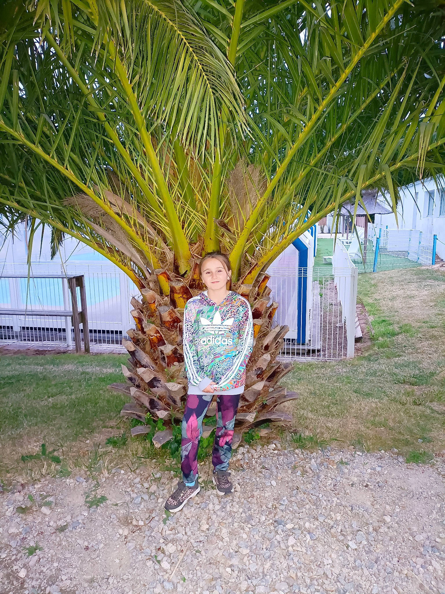 Leonie participe au concours pour gagner de l'argent avec cette photo : arecales, attalea_speciosa, bench, botany, caribbean, fun, grass, joy, leaf, leisure, outdoor_furniture, palm_tree, people_in_nature, person, plant, terrestrial_plant, tourism, travel, tree, tropics
