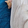 Binouze participe au concours pour gagner de l'argent avec cette photo : bed, blanket, blue_blanket, cat, cozy, ears, fur, head, home, indoor, nap, orange_cat, pet, relaxed, sleeping, soft, textured_fabric, towel, whiskers, white_blanket