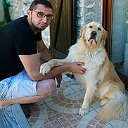 Heros participe au concours pour gagner de l'argent avec cette photo : man, dog, golden_retriever, glasses, black_tshirt, shorts, patio, tile_floor, stone_wall, wooden_door, pet, animal, outdoor, crouching, holding_paw, calm, companion, casual, summer, friendship