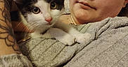 Stella a rejoint le concours — aidez-le/la à gagner de superbes lots ! woman, kitten, cat, indoor, holding, tattoo, sweater, closeup, face, pet, comfort, cute, feline, young_cat, human, cuddle, expression, window, curtains, necklace