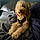 Teddy