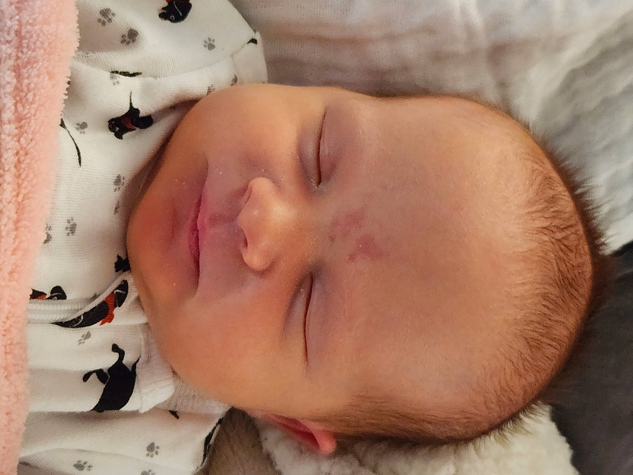 Isabelle joined the competition — help win amazing prizes! baby, baby_sleeping, baby_toddler_clothing, cheek, child, comfort, ear, eyebrow, eyelash, face, facial_expression, finger, happy, head, lip, mouth, nose, person, pink, skin