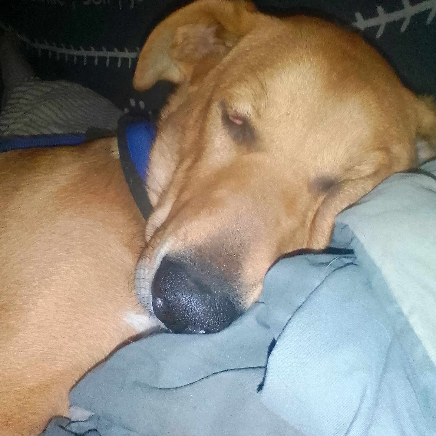 Tyson