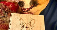 Bellatrix joined the competition — help win amazing prizes! dog, sketch, drawing, notebook, spiral_notebook, indoor, portrait, pet, animal, brown_and_white, smiling, face, ears, eyes, art, illustration, wood_pattern, fabric, colorful, cozy