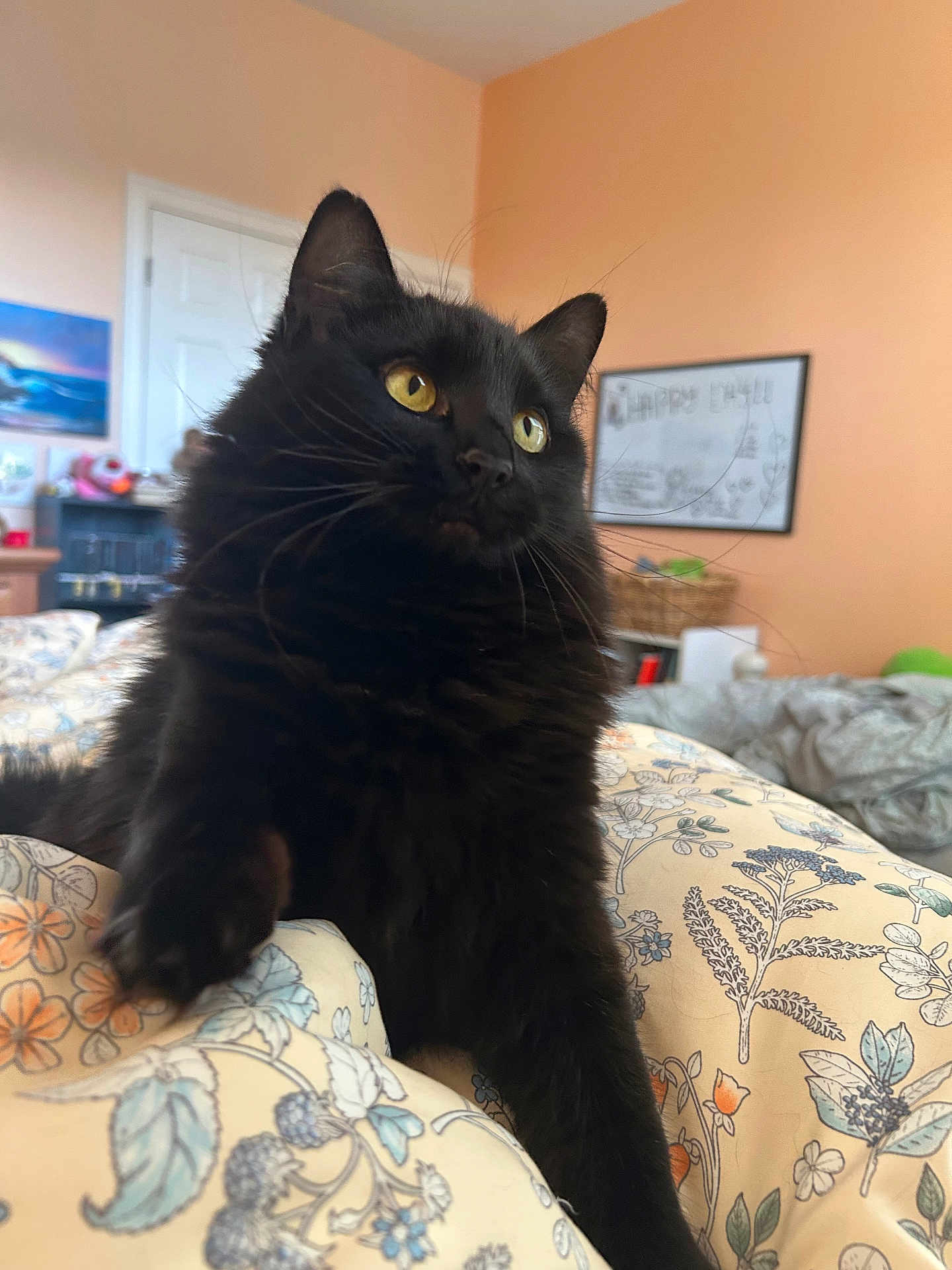 Maggie