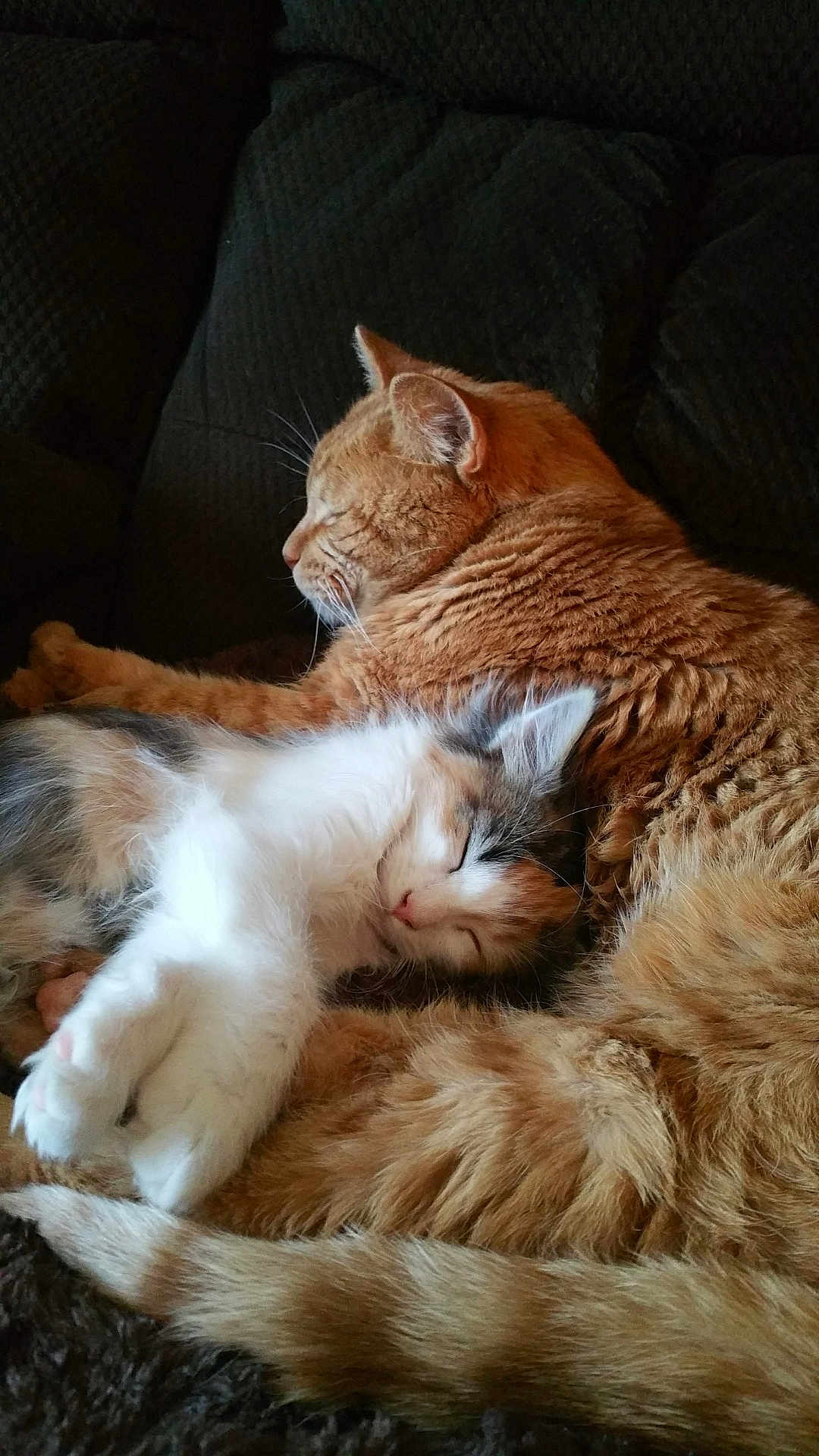 Precious