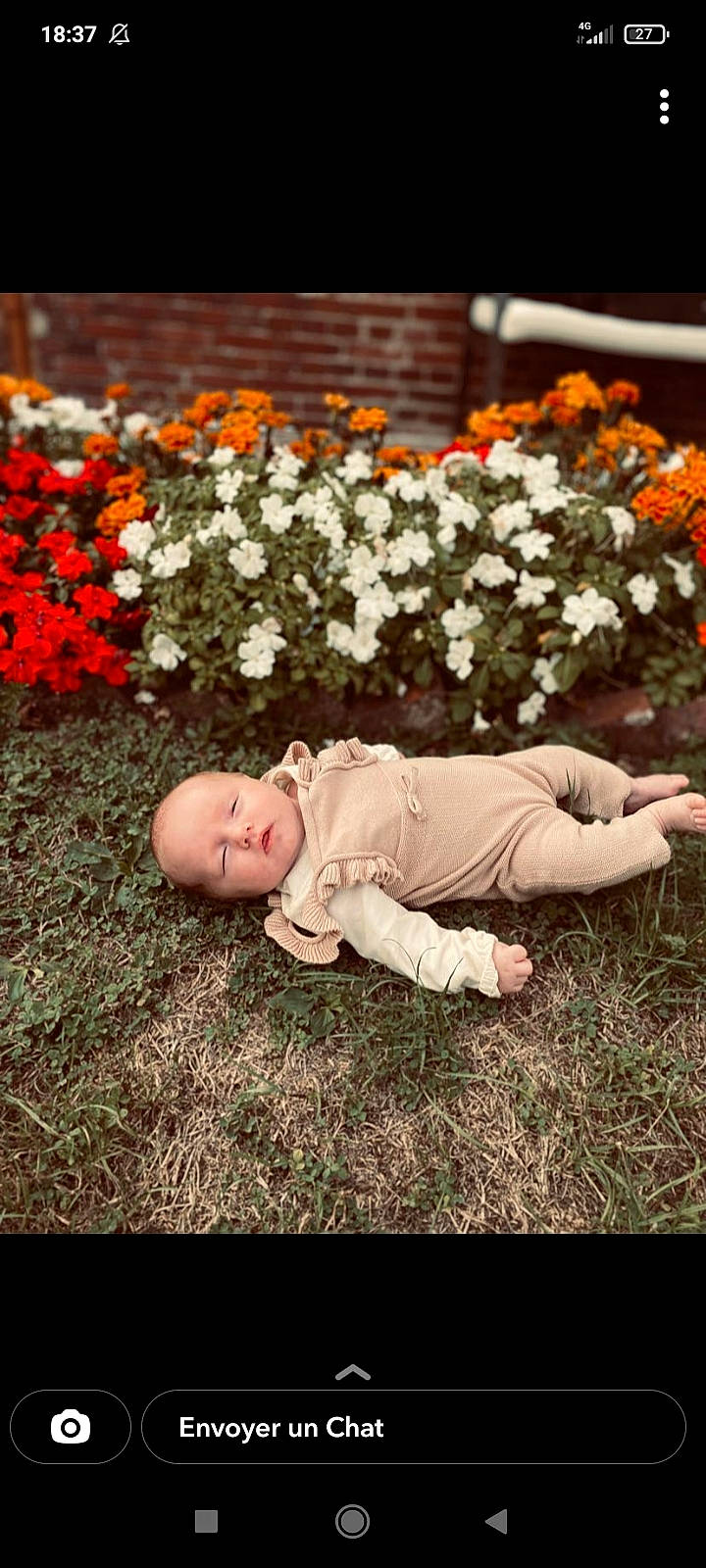 Leewayne participe au concours pour gagner de l'argent avec cette photo : annual_plant, baby, child, cut_flowers, flash_photography, flooring, floral_design, flower, flower_arranging, flowering_plant, grass, happy, landscape, lawn, people_in_nature, person, petal, plant, rose_family, sitting
