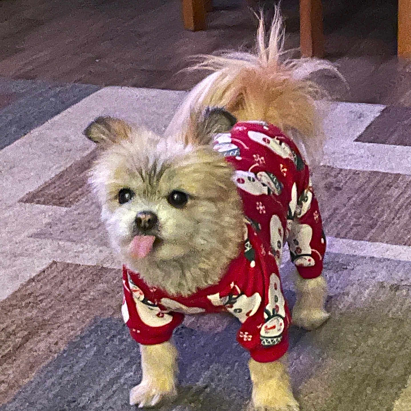 Chloe