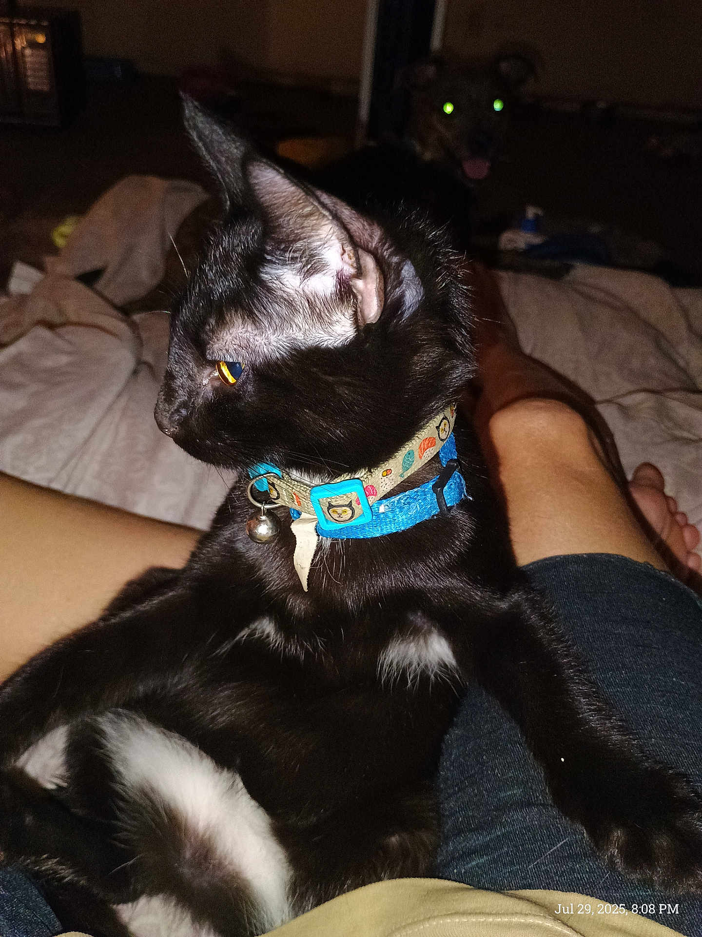Luna