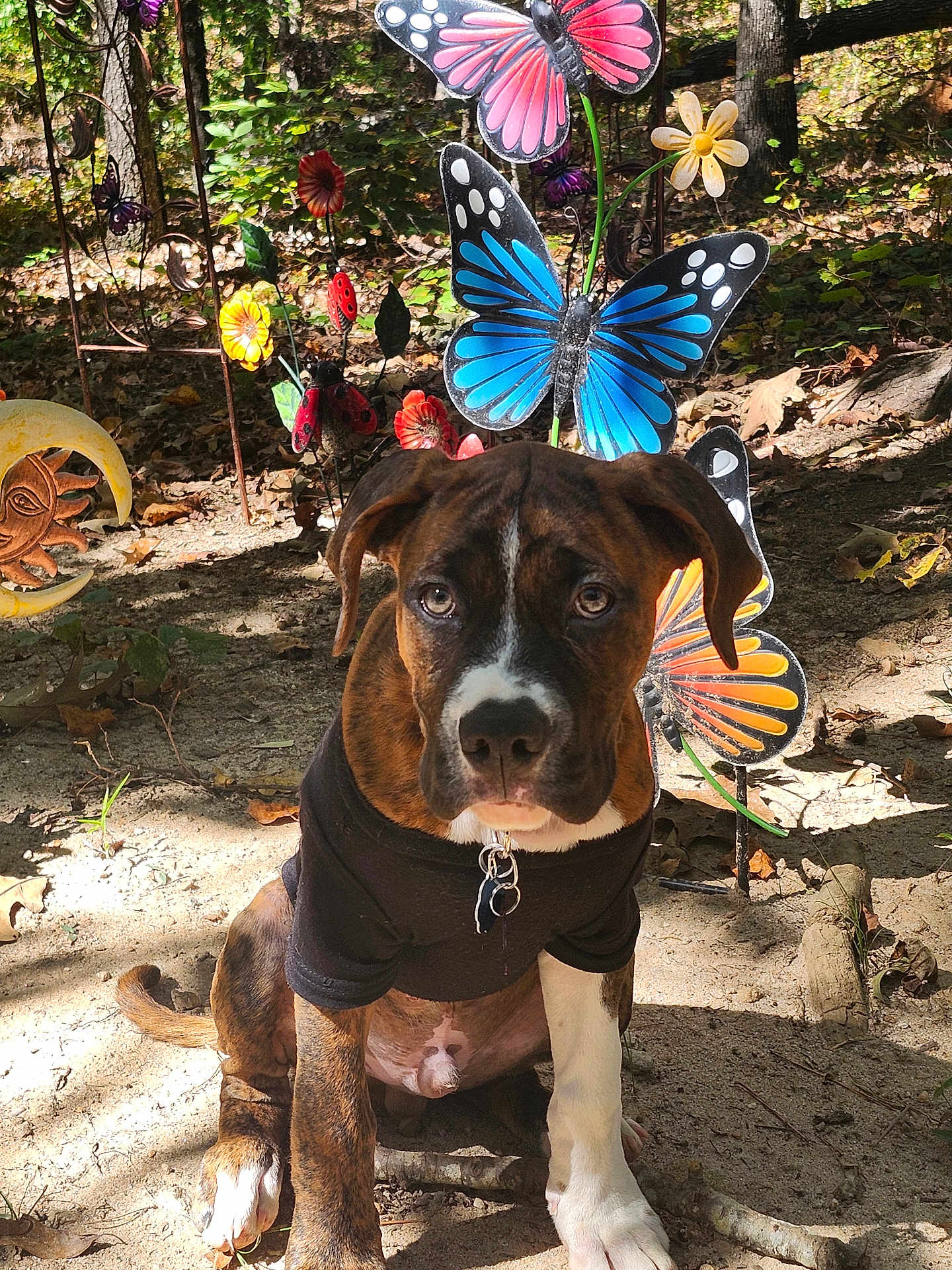 Buster Brown
