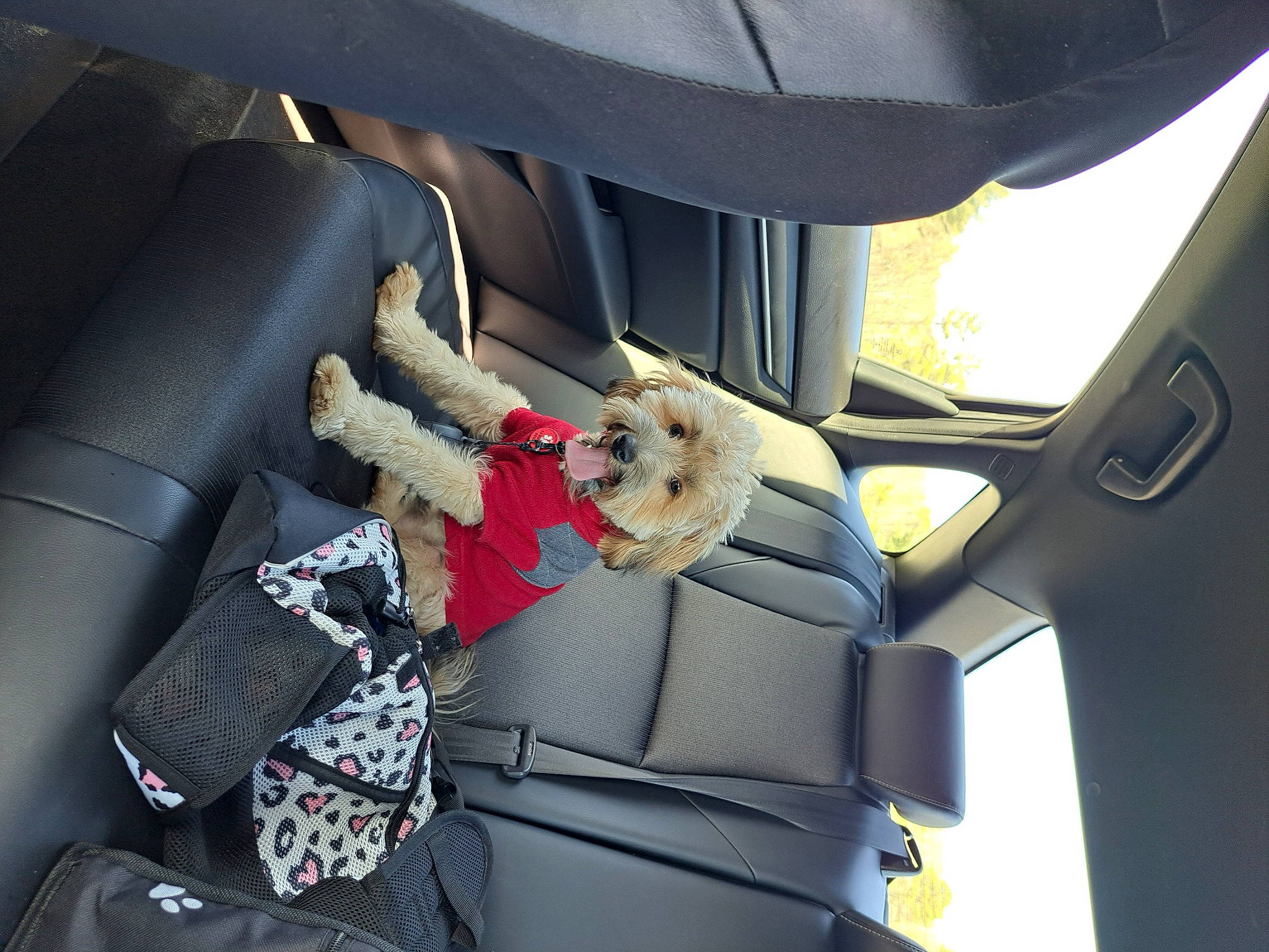 Captain Price joined the competition — help win amazing prizes! auto_part, automotive_design, automotive_exterior, car, car_seat, car_seat_cover, family_car, fixture, head_restraint, luxury_vehicle, mid_size_car, mode_of_transport, motor_vehicle, personal_luxury_car, seat_belt, steering_part, steering_wheel, vehicle, vehicle_door, windshield