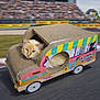 animal, blurred_background, cardboard_car, cartoon, cat, colorful, creative, crowd, cute, decorated, fluffy, funny, indoor, pet, playful, race_track, resting, toy, unique, vehicle