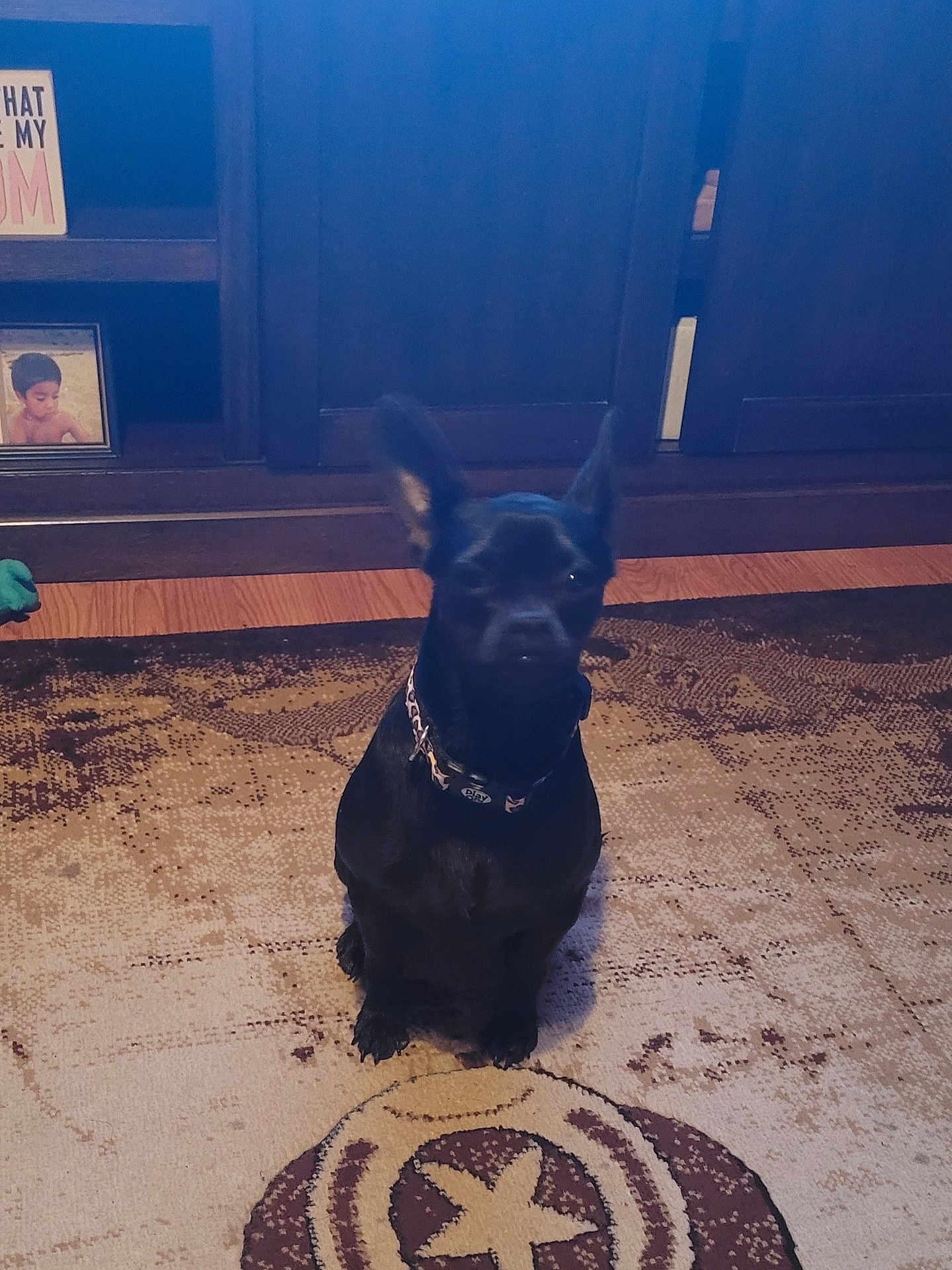 Mia