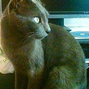 Marley a rejoint le concours — aidez-le/la à gagner de superbes lots !