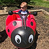 King joined the competition — help win amazing prizes! toddler, child, playground, ladybug, ride, red, black, outdoor, sunny, daylight, woodchips, grass, bench, person, footwear, flip_flops, handlebars, curious, play, park