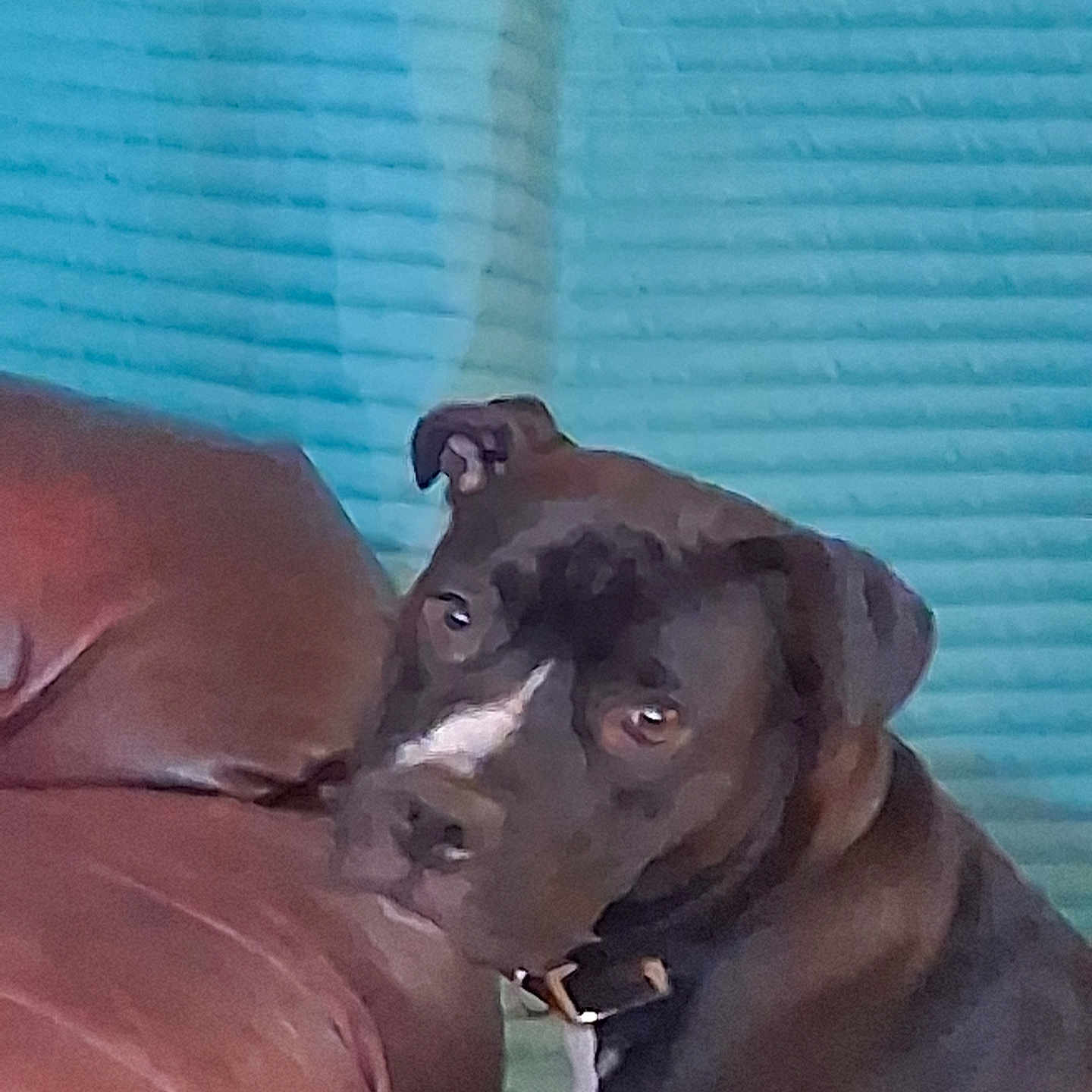 Pepper joined the competition — help win amazing prizes! dog, canine, pet, brown_dog, short_hair, collar, white_chest, affectionate, cuddling, kissing, person, shoulder, couch, indoors, home, turquoise_wall, portrait, closeup, cozy, blurred