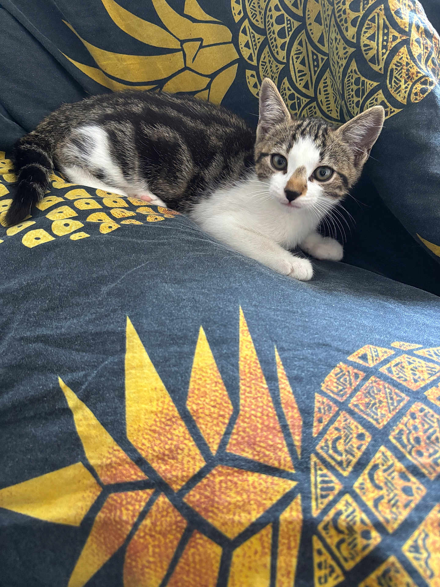 Bella
