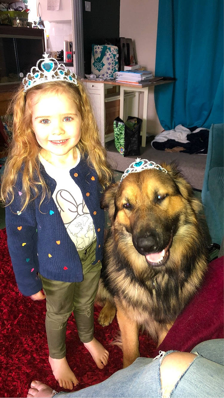 Rivia joined the competition — help win amazing prizes! blue, carnivore, child, companion_dog, crown, curtain, dog, dog_breed, event, fun, fur, happy, headband, headpiece, jewellery, organ, smile, snout, tiara, toddler