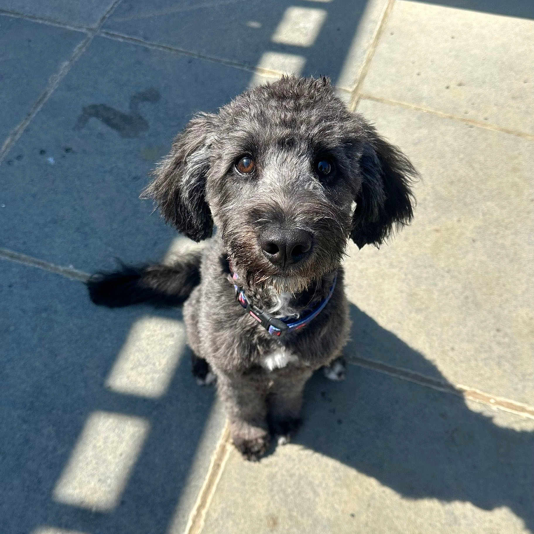 Otis