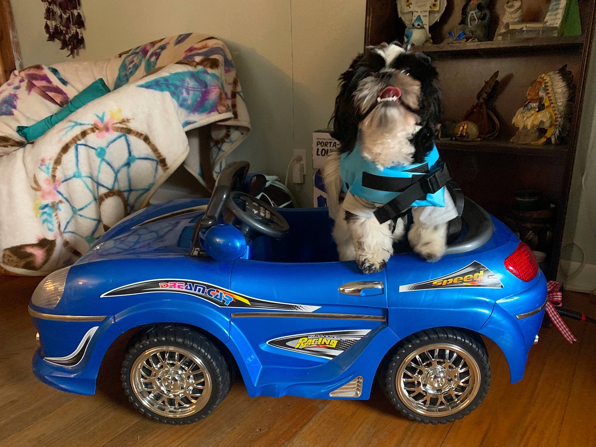 Cheyenne is registered to the contest to win money with this photo: alloy_wheel, automotive_design, automotive_exterior, automotive_tire, blue, bumper, car, carnivore, dog, fender, hood, hubcap, motor_vehicle, photograph, picture_frame, tire, vehicle, vehicle_door, wheel, white
