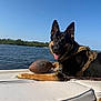 dog, german_shepherd, boat, water, sky, football, sunny, outdoor, animal, pet, leash, harness, nature, lake, recreation, tongue_out, canine, relaxing, summer, daytime