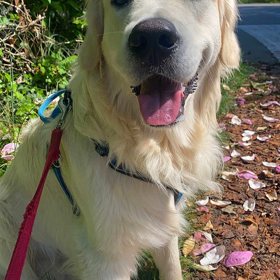 Marley