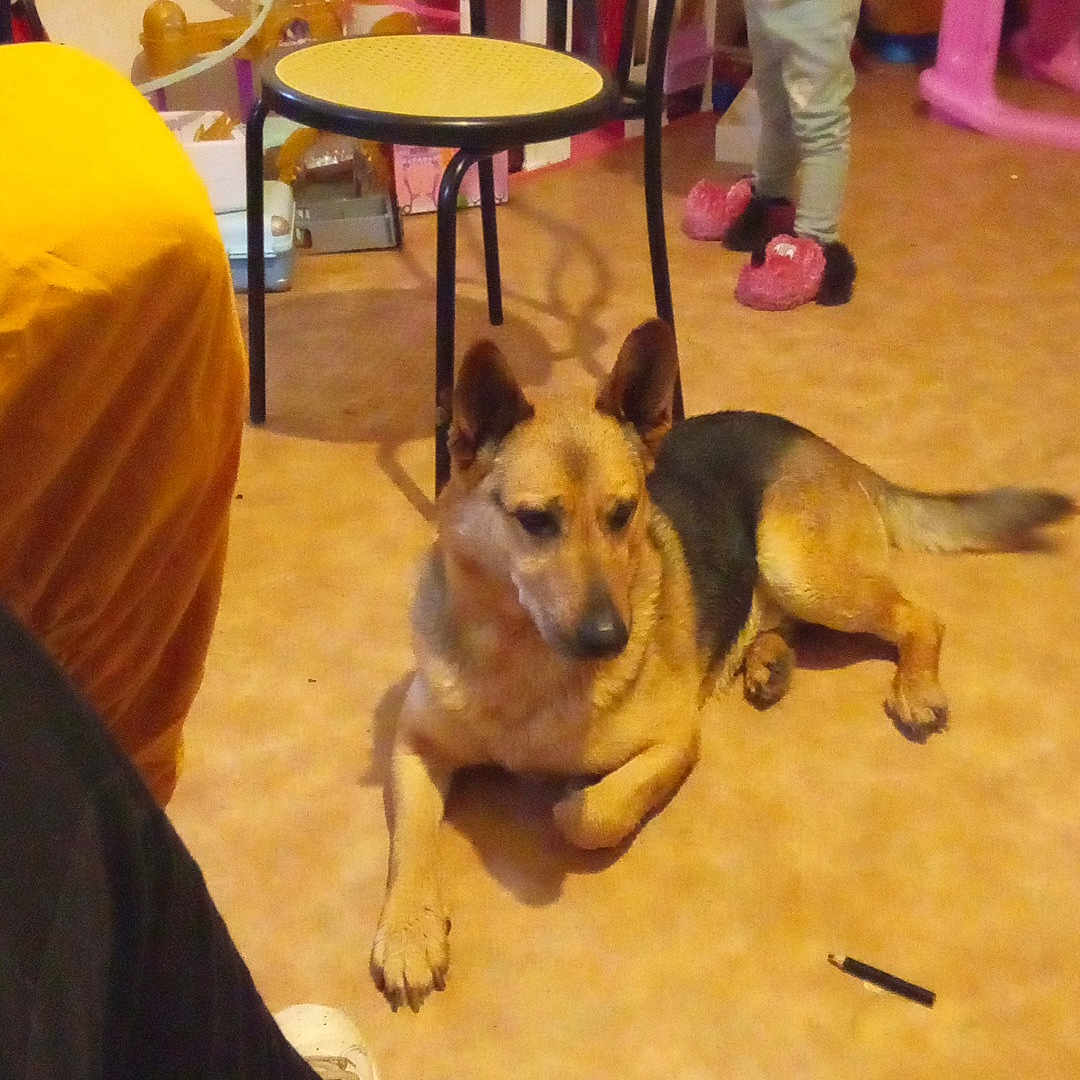 Max