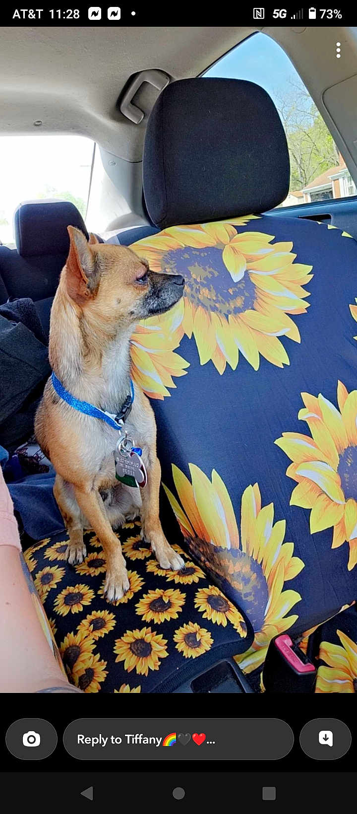 Gizmo